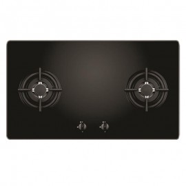 Bếp Gas Faster FS-202GB