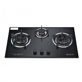 Bếp Gas Faster FS-301S